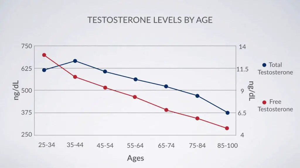 A graph of testosterone levels on men by age.