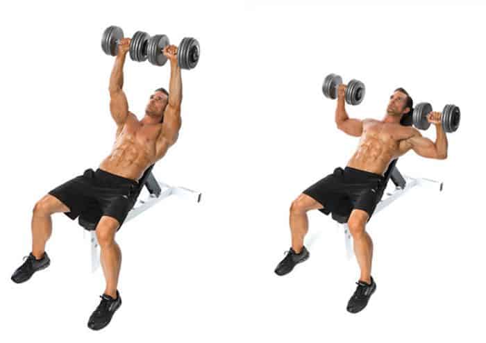 Man demonstrating how to do a dumbbell press.