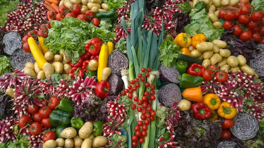 A mix of many types of vegetables laid out on a table.