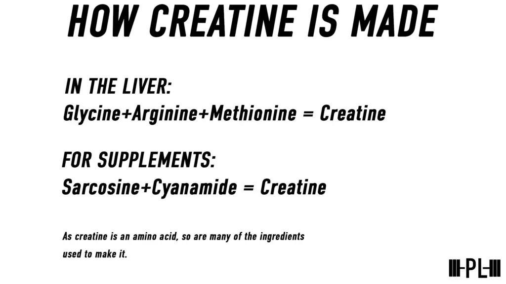 Infographic showing how creatine is made.